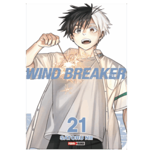 Wind Breaker 21